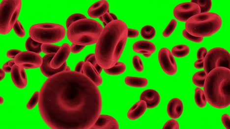 Digital-generated-red-blood-cells-against-green-background