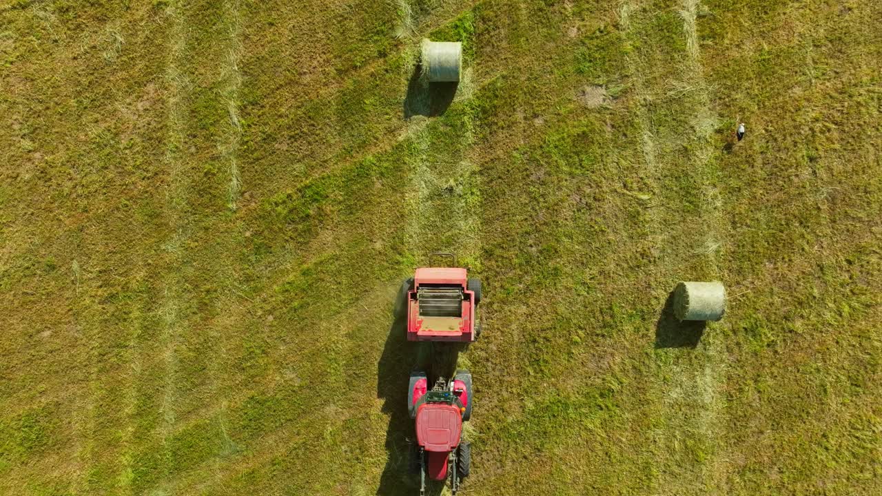 Flat top-down drone shot shows hay baling and hunting stork in summer light
