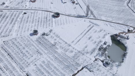 establishing-shot-showing-the-frozen-ground-of-Ramat-Hangolan-then-revealing-Mount-Hermon