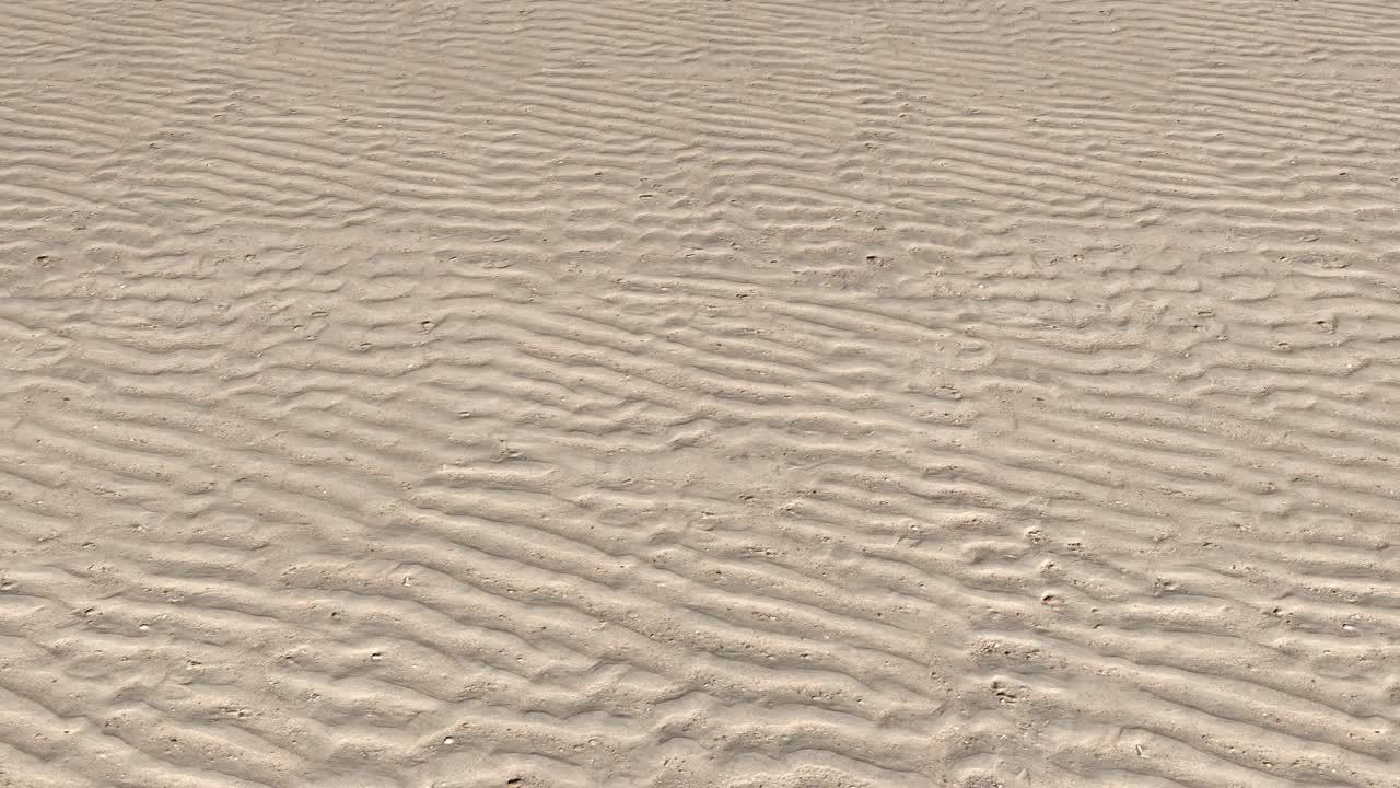 모래 해변 에 물 이 남긴 파동 을 공중 에서 볼 수 있는 모습 - 원활 한 루핑