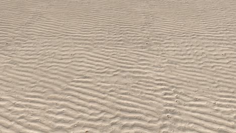 an aerial view over the ripples left by the water on a sandy beach - seamless looping