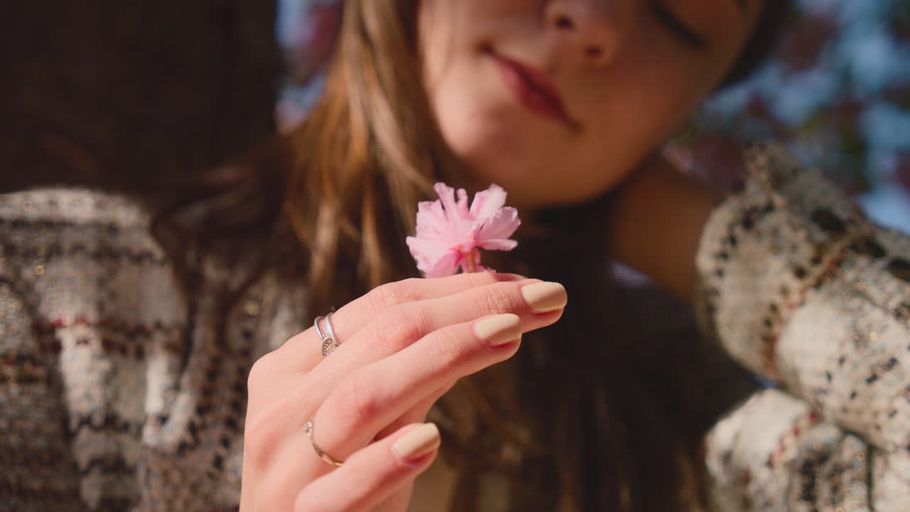 Close-up of a Hand Holding a Delicate Pink Cherry Blossom