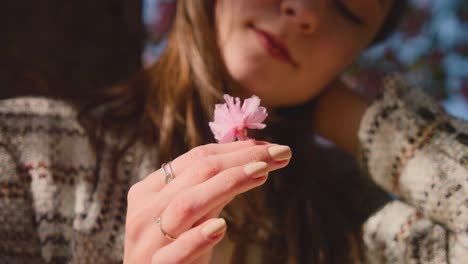 close-up of a hand holding a delicate pink cherry blossom