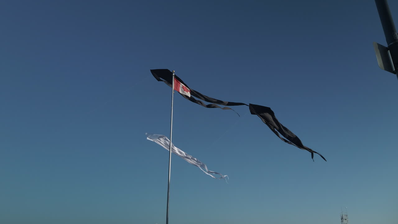 A trio of long tailed kites blowing in the wind, flying in the sky next to a Canadian flag, low angle wide shot looking upwards