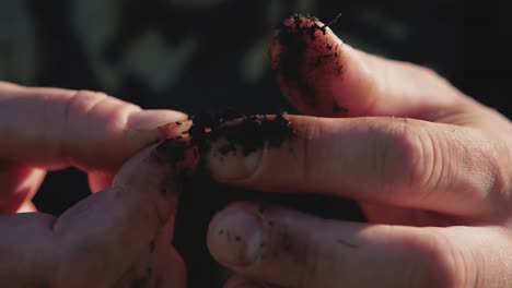 fisherman fixes the earthworm on a fishing hook