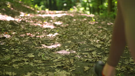 close up of sportswomen legs running in a leaf covered path in the woods