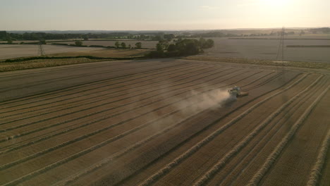 establishing drone shot of combine harvester with dust into the sun at golden hour sunset uk