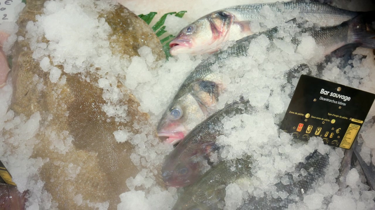 Robalo e linguado recém-pescados expostos em gelo picado em um mercado de peixe, prontos para venda.
