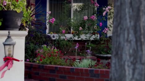 front yard landscaping with water fountain and white flower.