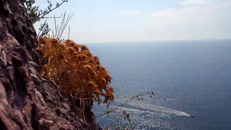 mar mediterráneo, vegetación y barco rápido desde los acantilados de cerdeña