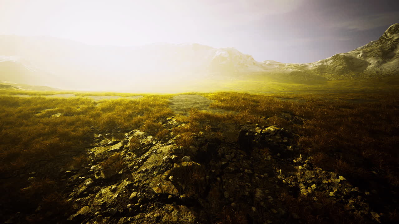 Misty mountain landscape with rocky ground and lush vegetation at dawn