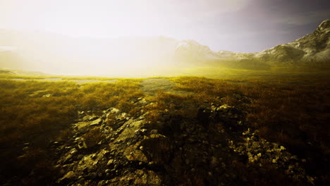 misty mountain landscape with rocky ground and lush vegetation at dawn
