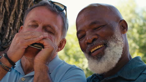 senior and mature male friends outdoors in garden playing harmonica together