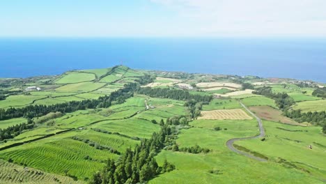 Lush-green-fields-stretch-toward-the-ocean-under-a-bright-blue-sky,-aerial-view