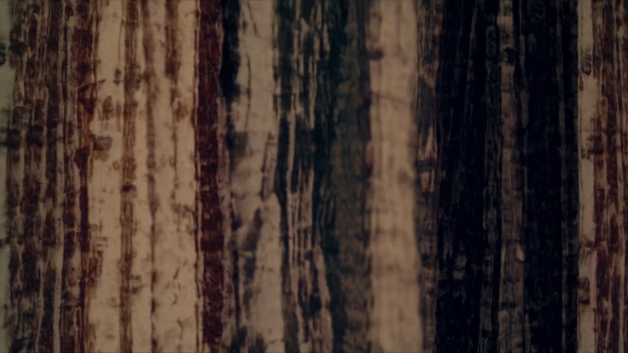 Abstraktní videozáznam texturovaných vertikálních linií v zemitých tónech, zachycený z přímého úhlu.