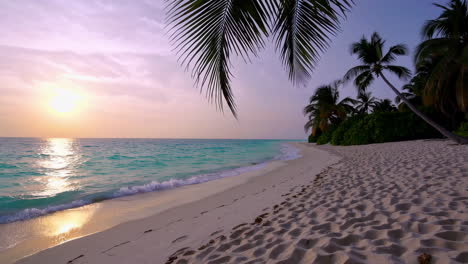 tropical sunset beach paradise