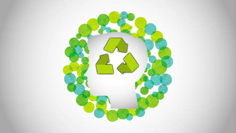 ecología de la naturaleza medioambiental