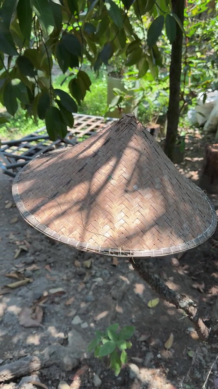 Cappello di paglia conico tradizionale appeso al ramo di un albero