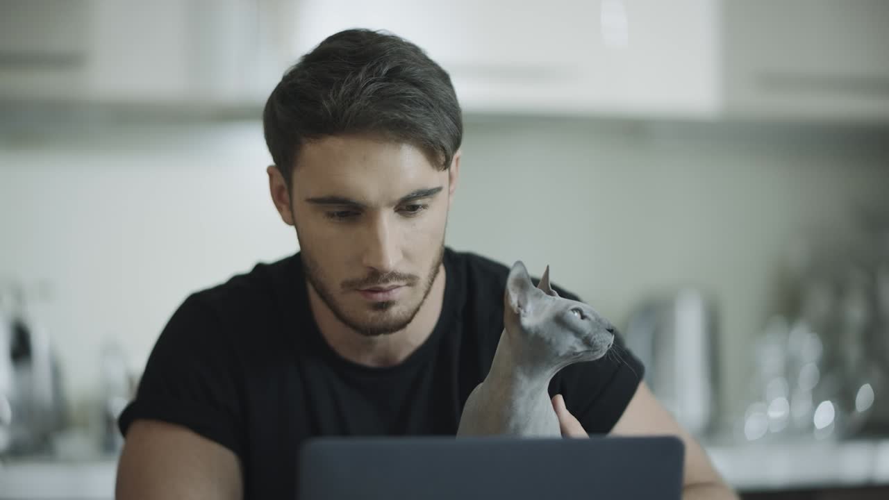 hombre guapo trabajando en una computadora portátil con gato esfinge. trabajo hipster en la computadora