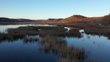 paisaje de humedales de otoño