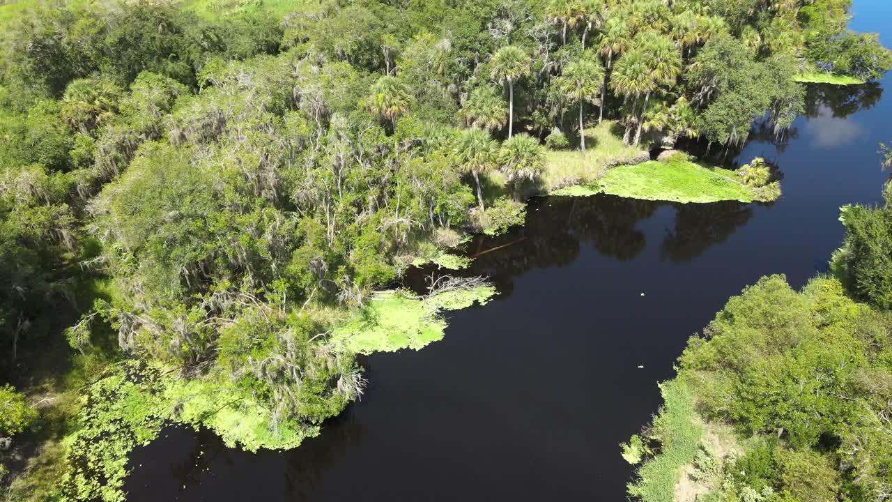플로리다 주 새러소타 근처의 미야카 강 주립공원에서 미야카 강을 우회전하는 항공