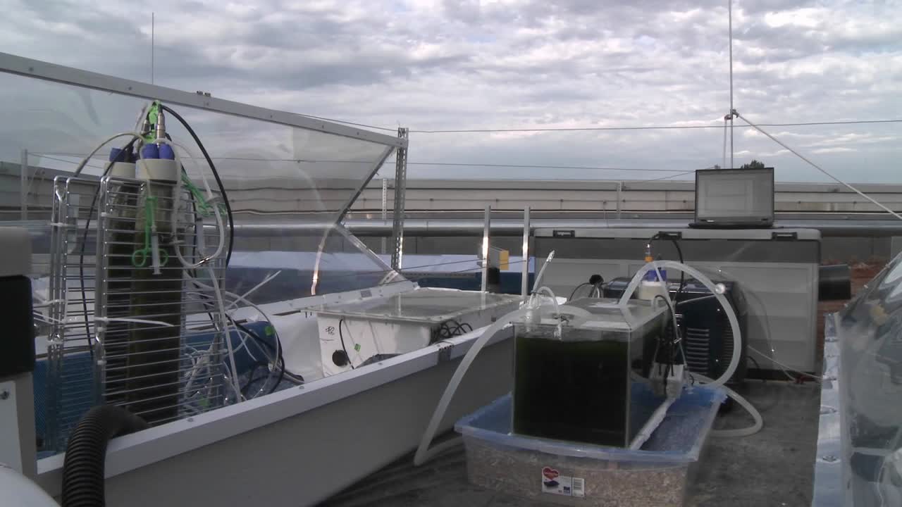 외부 실험 스테이션에서 하나의 평면 패널에서 다른 테스트 플라스크로 돌리 이동