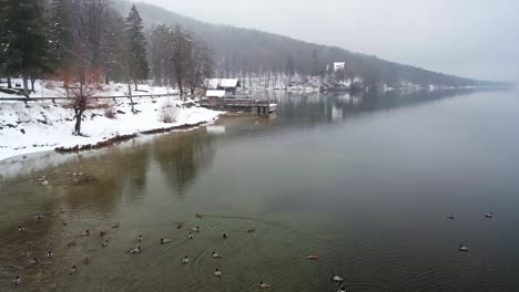 beautiful winter day in bohinj and the triglav national park