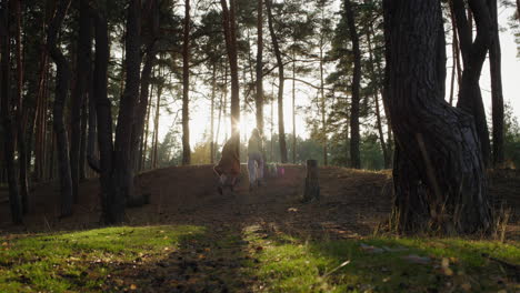 mom and teenage daughter walk with a dog in a beautiful autumn forest