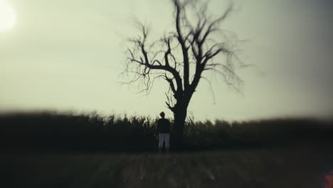 a lone figure standing before a bare tree in a field