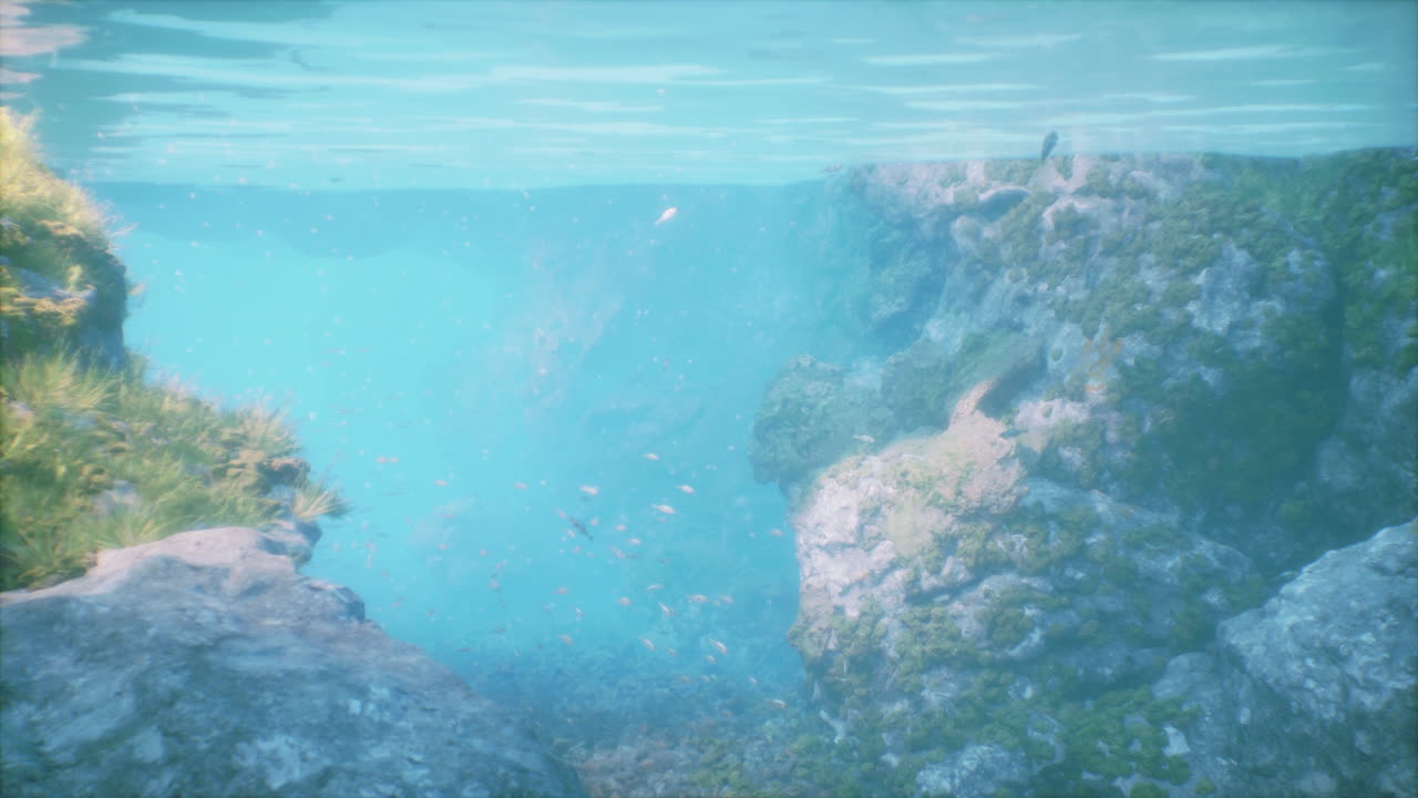 물고기와 바위와 함께 평온한 수중 장면