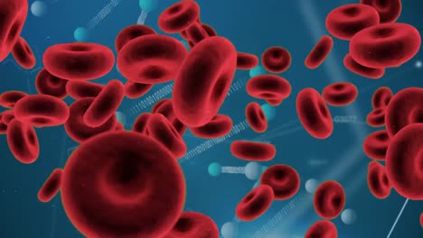 Rote-Blutkörperchen-Und-Asymmetrische-Linien-Mit-Binären-Codes