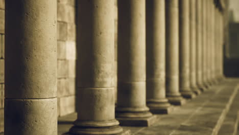 marshaled columns in a historic building during golden hour light