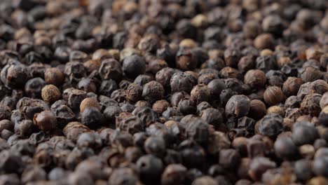 dried black peppercorns, close up of pepper spice seeds for flavor and seasoning