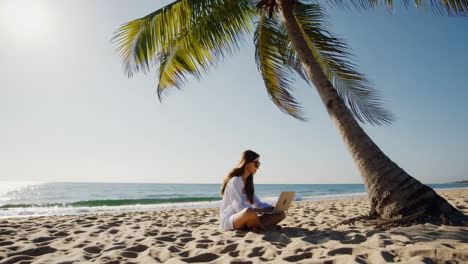 woman working on a laptop on a sunny beach under a palm tree