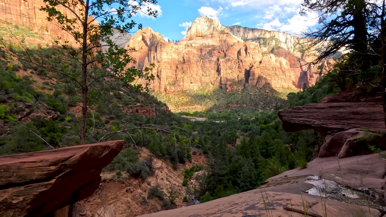 산 속 의 작은 하천