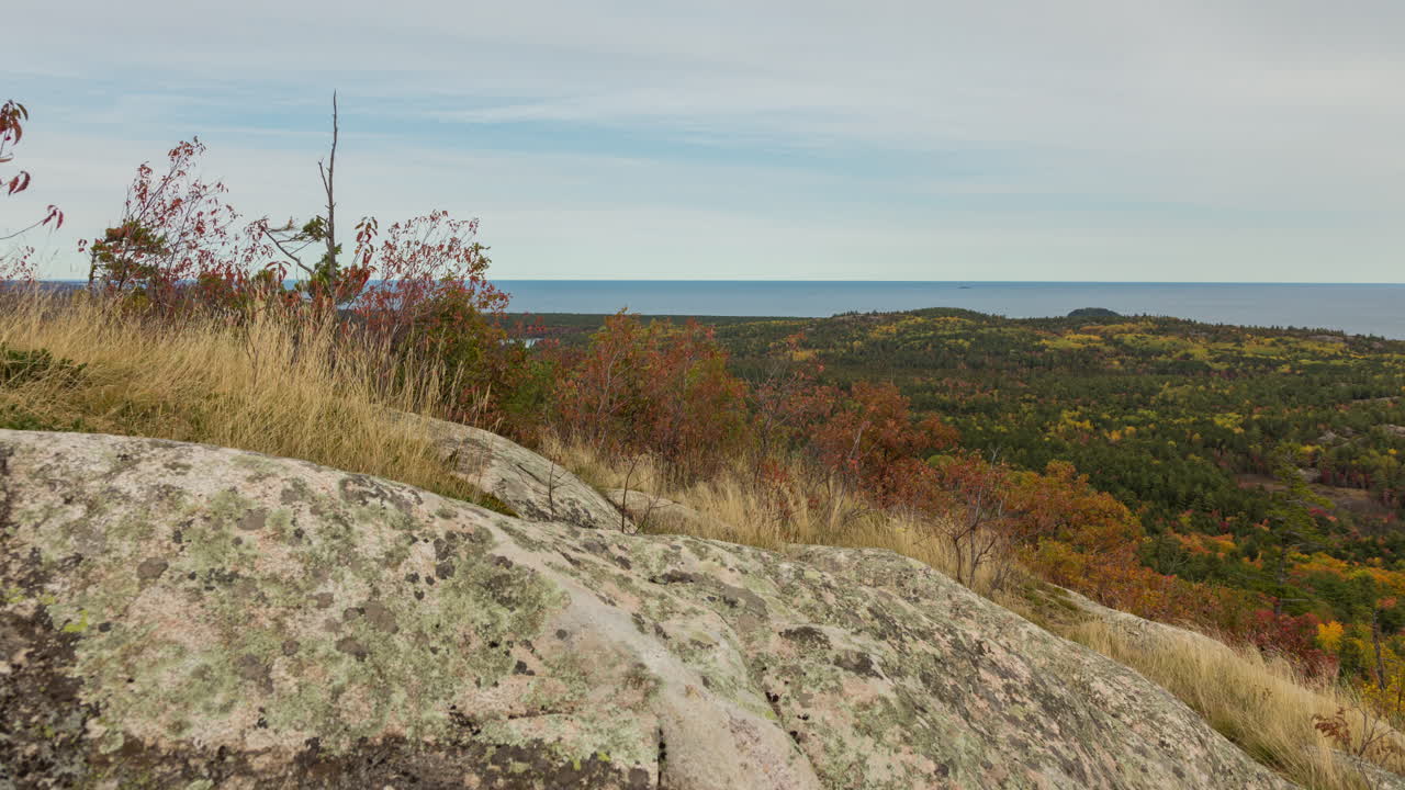 lapso de tiempo de movimiento de los vastos bosques del norte de michigan cerca de la costa sur del lago superior
