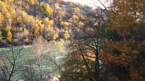 aerial reveal shot of the niagara river during autumn season