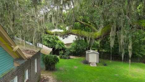 droning through an old oak tree with spanish moss