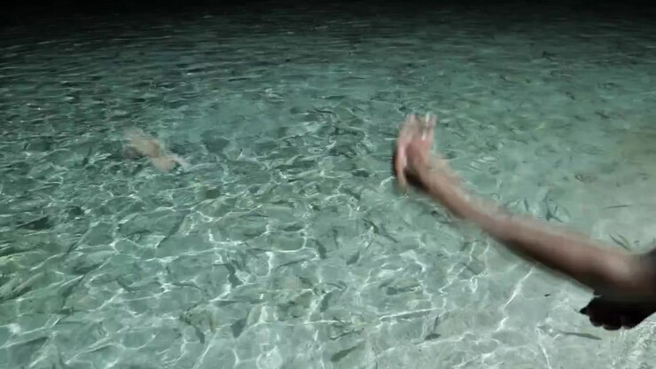 Man throwing pieces of fish meat into shallow coastal waters to feed a large group of fish under bright artificial lights at night in the Maldives.