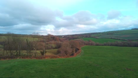 Aerial-view-over-green-field-by-road-trees