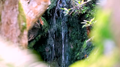 Natürlicher-Baumrahmen-Eines-Gebirgsbachs,-Der-über-Moosbedeckte-Felsen-Herabfällt