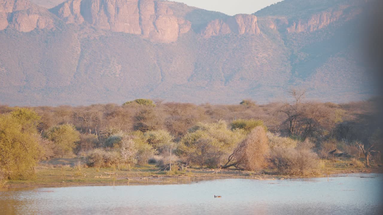 abrevadero debajo de las montañas waterberg en la reserva de caza de marataba al atardecer