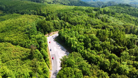 spectacular mountainous area covered with lush green forests. cars go by the highway in the woods. aerial view.