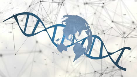 animation of globe and dna strand over network of connections on white background