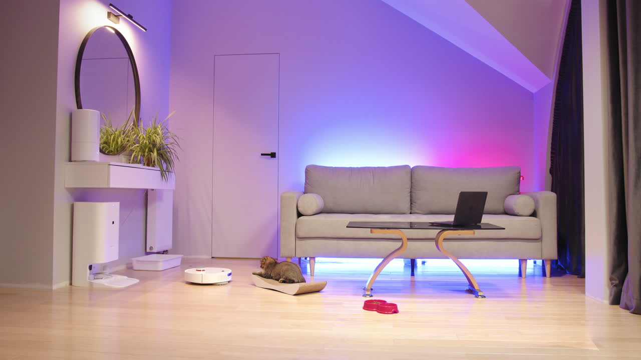 mujer trabajando desde casa con su gato