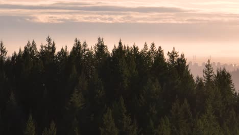 Aerial-footage-of-Vancouver-city-on-the-background-with-oil-refinery-and-oil-pipes-in-4k