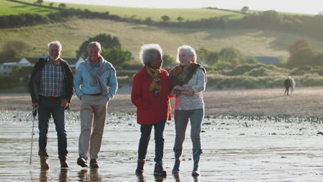 Gruppe-älterer-Freunde,-Die-Entlang-Der-Küste-Des-Herbststrandes-Spazieren