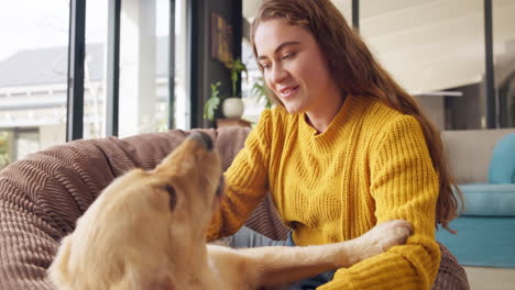 a woman petting her golden retriever dog on the couch