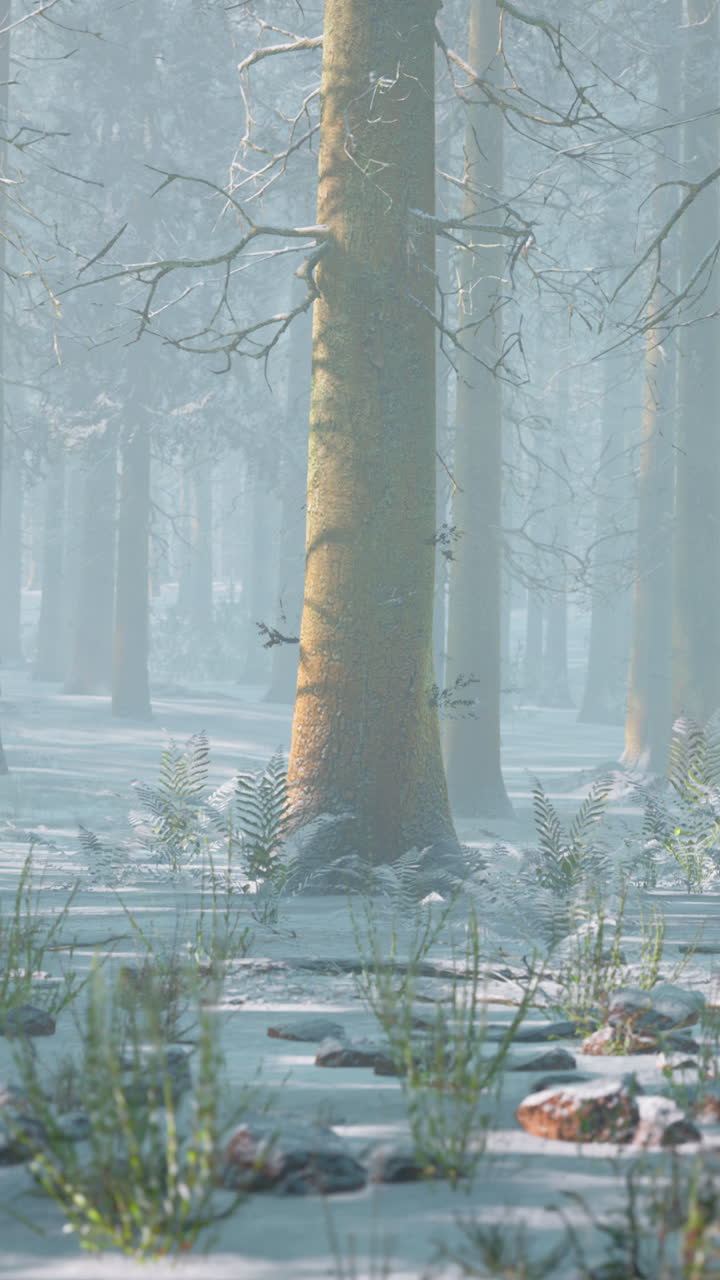 Una foresta innevata con nebbia