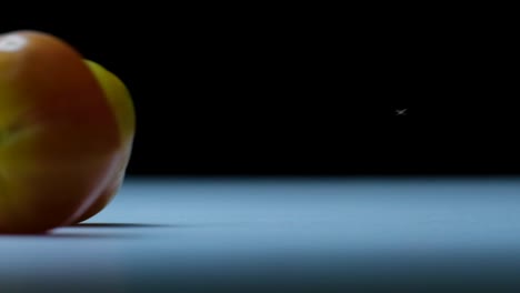 two big beefsteak tomatoes rolling over a white surface appear on the right and rolling all over the screen, and disappear on the left side